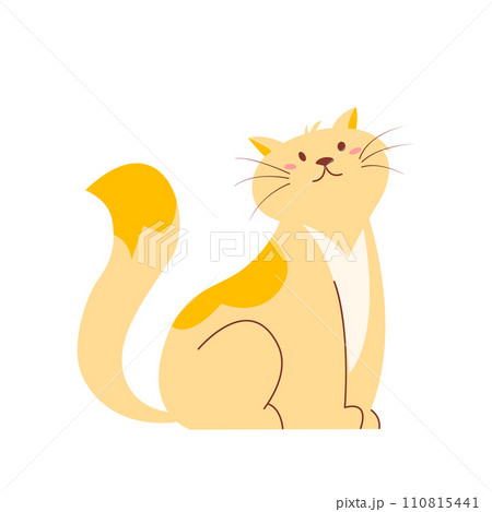 Cute fluffy cat. Funny kitten. Pet animal isolated on white background. 110815441