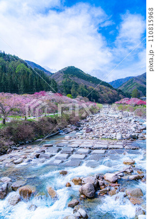 【桃源郷】阿智村の花桃の里【長野県】 【桃源郷】阿智村の花桃の里【長野県】 110815968
