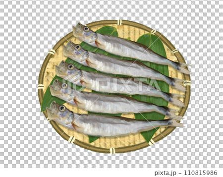 ししゃも(5尾)ザル、笹の葉付き ししゃも(5尾)ザル、笹の葉付き 110815986