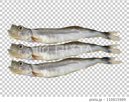 Shishamo (3 fish) Shishamo (3 fish) 110815989