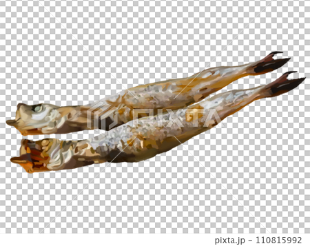 Grilled Shishamo (2 pieces) Grilled Shishamo (2 pieces) 110815992