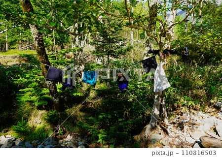 ペテガリ岳のベッピリガイ沢川の渡渉点に干された沢靴 110816503