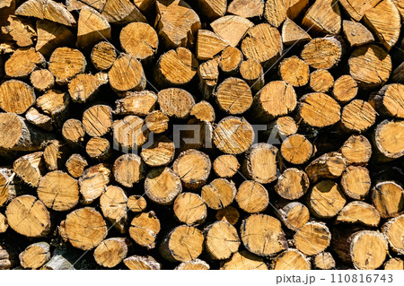 Photography on theme big wall of stacked oak tree logs in cracks 110816743