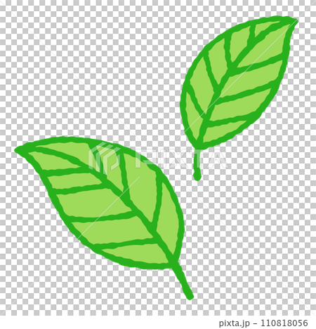 簡單的葉子圖 110818056