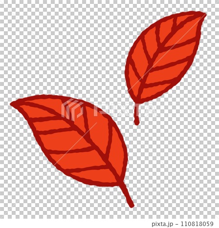 Simple autumn leaf illustration 110818059