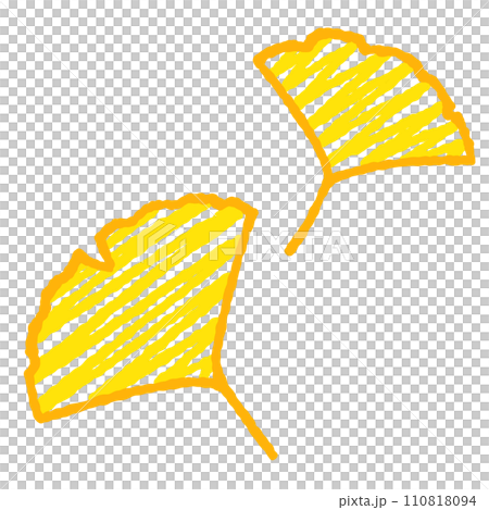 Simple ginkgo leaf illustration 110818094