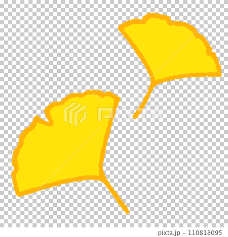 Simple ginkgo leaf illustration Simple ginkgo leaf illustration 110818095
