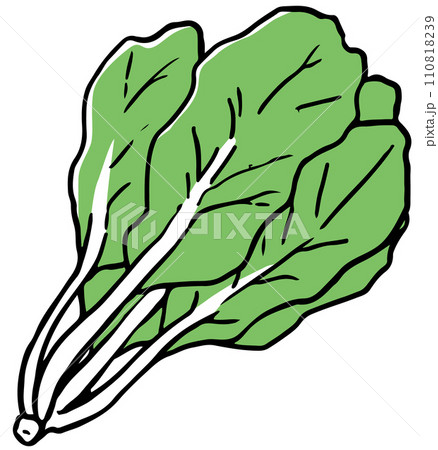 ほうれん草単色 ほうれん草単色 110818239