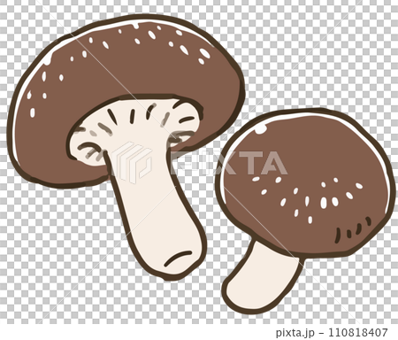 Shiitake mushroom Shiitake mushroom 110818407