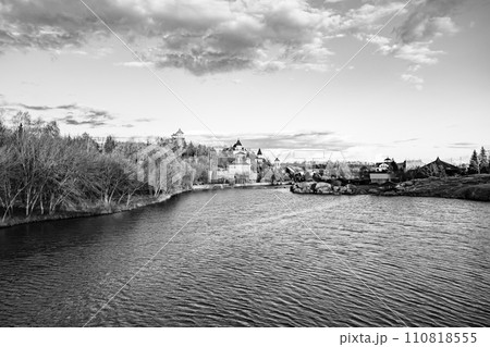 Beautiful grass swamp reed growing on shore reservoir in countryside 110818555
