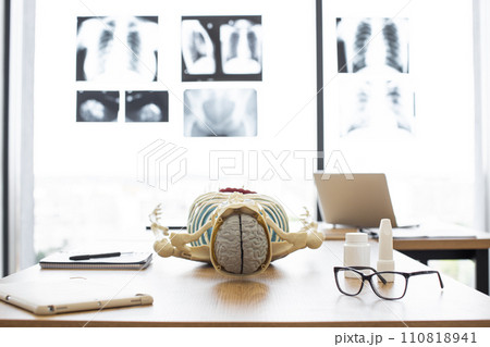 Skeleton with organs, brain, bones, joints. Skeleton with organs, brain, bones, joints. 110818941