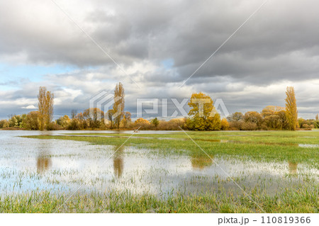 Flooded meadow after heavy rains. Autumn landscape. 110819366