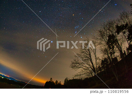 ふたご座流星群 110819556