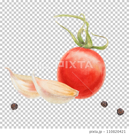 Fresh ripe cherry tomato on branch, onion, garlic, pepper. Hand drawn watercolor illustration of red organic vegetable, close-up, vegetarian food, natural ingredient, package design element, painting Fresh ripe cherry tomato on branch, onion, garlic, pepper. Hand drawn watercolor illustration of red organic vegetable, close-up, vegetarian food, natural ingredient, package design element, painting 110820421
