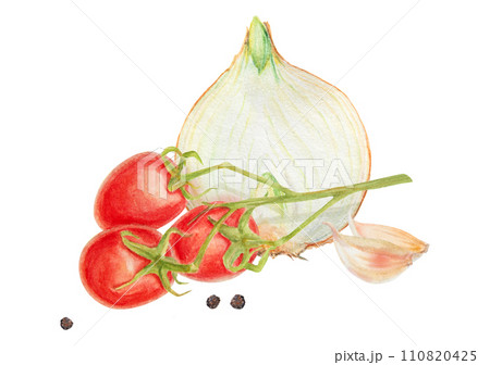 Fresh ripe cherry tomato on branch, onion, garlic, pepper. Hand drawn watercolor illustration of red organic vegetable, close-up, vegetarian food, natural ingredient, package design element, painting Fresh ripe cherry tomato on branch, onion, garlic, pepper. Hand drawn watercolor illustration of red organic vegetable, close-up, vegetarian food, natural ingredient, package design element, painting 110820425