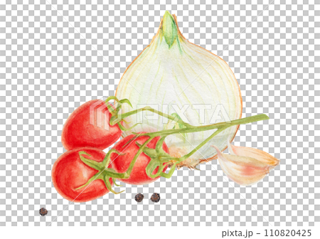 Fresh ripe cherry tomato on branch, onion, garlic, pepper. Hand drawn watercolor illustration of red organic vegetable, close-up, vegetarian food, natural ingredient, package design element, painting 110820425