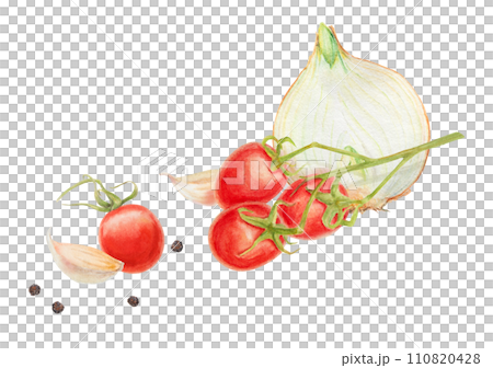 Fresh ripe cherry tomato on branch, onion, garlic, pepper. Hand drawn watercolor illustration of red organic vegetable, close-up, vegetarian food, natural ingredient, package design element, painting Fresh ripe cherry tomato on branch, onion, garlic, pepper. Hand drawn watercolor illustration of red organic vegetable, close-up, vegetarian food, natural ingredient, package design element, painting 110820428