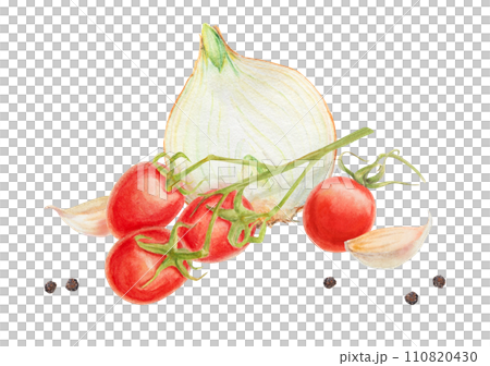 Fresh ripe cherry tomato on branch, onion, garlic, pepper. Hand drawn watercolor illustration of red organic vegetable, close-up, vegetarian food, natural ingredient, package design element, painting Fresh ripe cherry tomato on branch, onion, garlic, pepper. Hand drawn watercolor illustration of red organic vegetable, close-up, vegetarian food, natural ingredient, package design element, painting 110820430