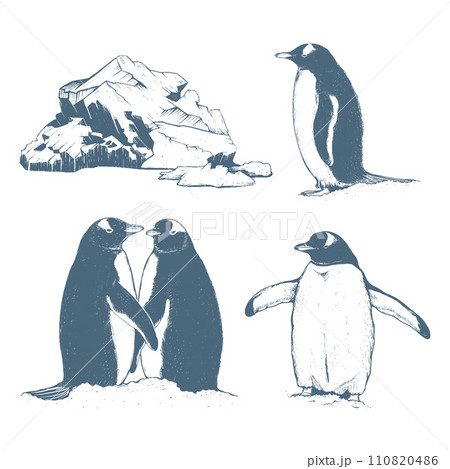Collection north, penguins and iceberg. 110820486