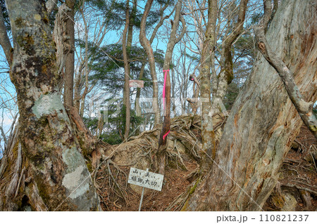 毛無山の最高点 毛無山の最高点 110821237