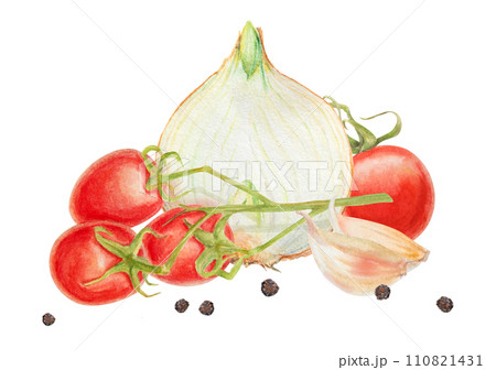 Fresh ripe cherry tomato on branch, onion, garlic, pepper. Hand drawn watercolor illustration of red organic vegetable, close-up, vegetarian food, natural ingredient, package design element, painting Fresh ripe cherry tomato on branch, onion, garlic, pepper. Hand drawn watercolor illustration of red organic vegetable, close-up, vegetarian food, natural ingredient, package design element, painting 110821431