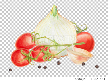 Fresh ripe cherry tomato on branch, onion, garlic, pepper. Hand drawn watercolor illustration of red organic vegetable, close-up, vegetarian food, natural ingredient, package design element, painting Fresh ripe cherry tomato on branch, onion, garlic, pepper. Hand drawn watercolor illustration of red organic vegetable, close-up, vegetarian food, natural ingredient, package design element, painting 110821431