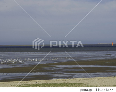 the city of Esbjerg in denmark 110821877