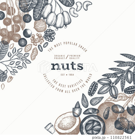 Hand Drawn Nuts Branch And Kernels  Template. Organic Seed Vector Design. Retro Nut Illustration. Engraved Style Botanical Banner. 110822561