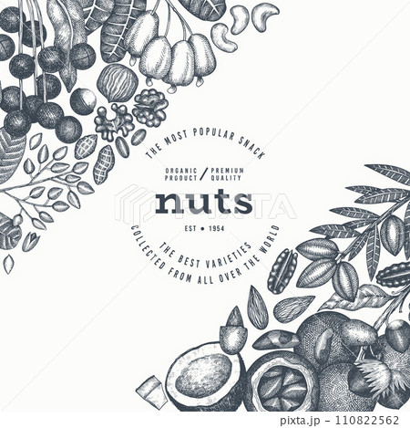 Hand Drawn Nuts Branch And Kernels Template. Organic Seed Vector Design. Retro Nut Illustration. Engraved Style Botanical Banner. Hand Drawn Nuts Branch And Kernels Template. Organic Seed Vector Design. Retro Nut Illustration. Engraved Style Botanical Banner. 110822562