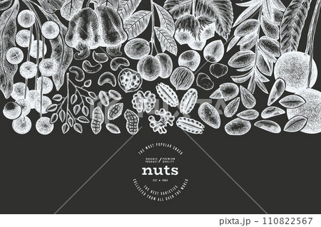 Hand Drawn Nuts Branch And Kernels  Template. Organic Seed Vector Design. Retro Chalk Board Nut Illustration. Hand Drawn Nuts Branch And Kernels  Template. Organic Seed Vector Design. Retro Chalk Board Nut Illustration. 110822567