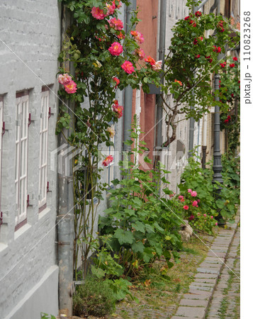 the city of Flensburg at the baltic sea 110823268
