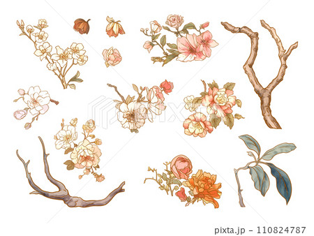 Set, element for design flowers Set, element for design flowers 110824787