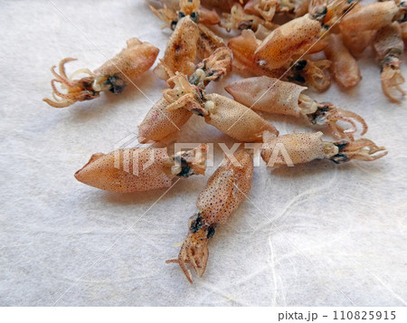 小さいながら、旨味たっぷりの、小イカの煮干しの写真 110825915