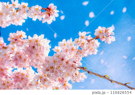 桜吹雪素材】桜と青空と桜吹雪イメージ・水彩画調【長野県】のイラスト