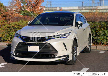 国産SUV　イメージ 110827571