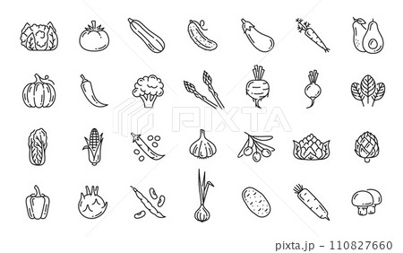 Raw vegetable line icons. Cauliflower, tomato, cucumber, eggplant and carrot, avocado and pumpkin, pepper and artichoke, beet, turnip, bean and garlic, kohlrabi, onion, potato outline vector pictogram Raw vegetable line icons. Cauliflower, tomato, cucumber, eggplant and carrot, avocado and pumpkin, pepper and artichoke, beet, turnip, bean and garlic, kohlrabi, onion, potato outline vector pictogram 110827660