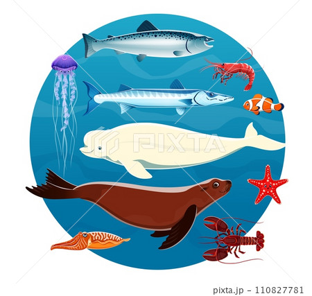 Cartoon sea animals and ocean fish. Vector salmon, shrimp, jellyfish and beluga whale, clownfish, seal, pike, lobster, starfish, prawn and cuttlefish. Cute marine animals characters with blue waves Cartoon sea animals and ocean fish. Vector salmon, shrimp, jellyfish and beluga whale, clownfish, seal, pike, lobster, starfish, prawn and cuttlefish. Cute marine animals characters with blue waves 110827781