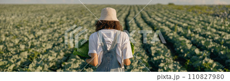 Back view of female farmer in uniform working in cabbage field during harvest. Agricultural activity 110827980