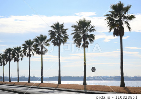 千葉フォルニア　千葉県袖ヶ浦市 110828851