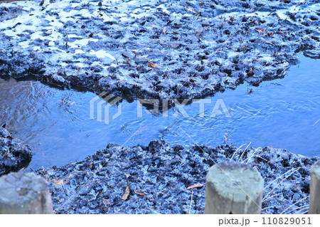 冬の水辺　霜柱　寒さ増す冬景色　 110829051