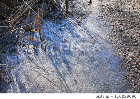 冬の水辺 薄氷と霜 寒さ増す冬景色 冬の水辺 薄氷と霜 寒さ増す冬景色 110829090