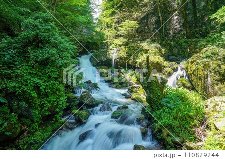 新緑に包まれた渓流の情景 110829244
