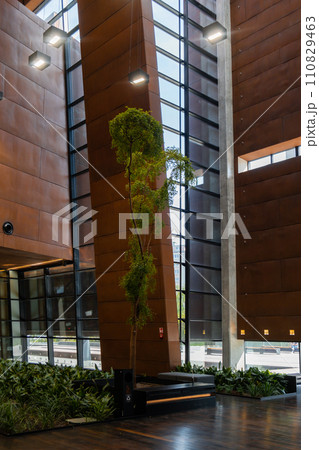 Indoor trees Modern interior design in European Solidarity Centre Gdansk Poland. Biophilia design connecting with nature green areas. Modern abstract museum in Europe. Travel destination 110829463