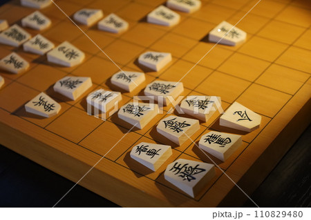 将棋（73期王将戦第2局投了棋譜） 110829480