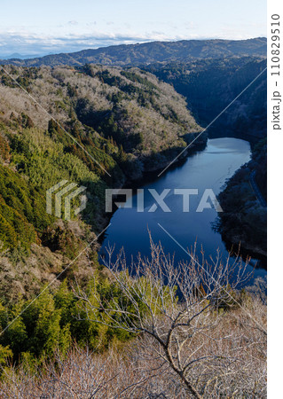 春を待つ月ヶ瀬梅渓にて　固い花芽をつけた梅の木と静かに水をたたえた月ヶ瀬湖 110829510