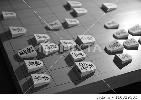 将棋（73期王将戦第2局投了棋譜）二 110829583