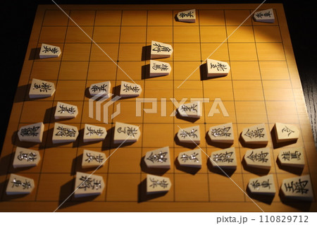 将棋（73期王将戦第2局投了棋譜）三 110829712