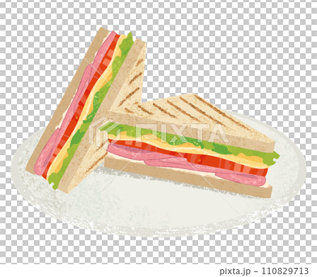 illustration of a sandwich on a plate 110829713