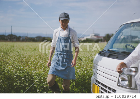 vegetable field 110829714