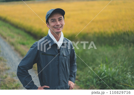 rice farming 110829716